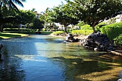 Shores at Waikoloa 206