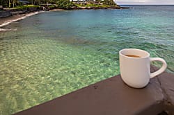 Beach Front-Corner Spoil You!