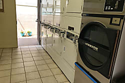 Polynesian Shores 122