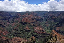 Hale Ohana Aloha At Poipu Kai