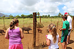 Hale Ohana Poipu Beach Family Vacation Home