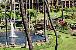 Kamaole Sands 10-302