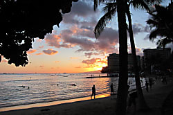 Waikiki Banyan Tower 2 Unit 1606