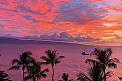 Whaler #963 OceanView Studio