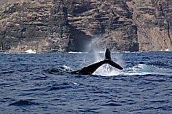 Haleakamanu-Hanalei Bay Villas