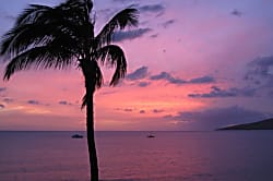 Sugar Beach Resort 527