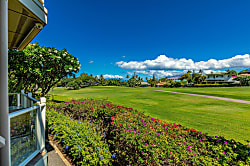 Grand Champions #157