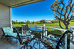 Grand Champions #157