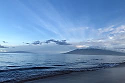 Grand Champions #157