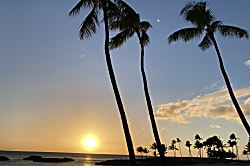 'Hale Akala' Beach Tower 404