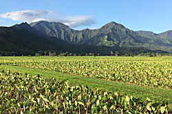 Hale Maluhia at Princeville Condo Near Anini