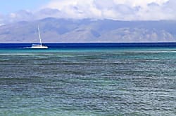 Kahana Reef 220