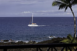 Hali'i Kai Resort Rental