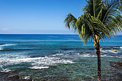 Kona Bali Kai Unit #217