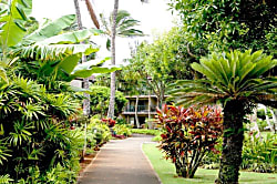 Pono Kai Resort Garden View Condo Kapaa