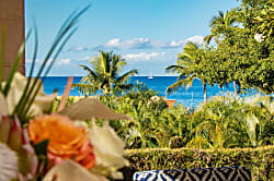 Golden Mandarin Pool Villa - Wailea Beach Villas