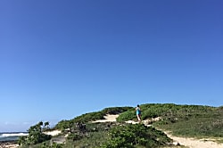 Tropical Turtle Bay Condo Loft 