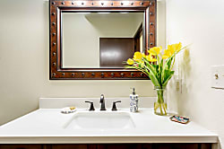 Lio Ka Hale (The Horse House)