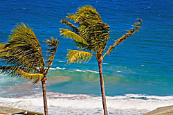 Kapalua Ridge Villas 2422