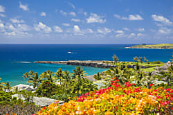 Kapalua Ridge Villas 2214