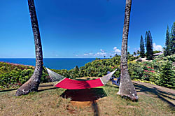 Sunrise Hale at the Cliffs