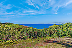 Sunrise Hale at the Cliffs