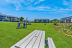 Sunrise Hale at the Cliffs