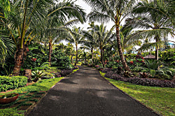 Haena Cove- Lihi Kai