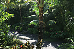 Haena Cove- Lihi Kai