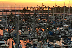 Ilikai Marina 6th Floor