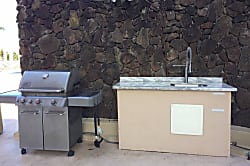 Hawaiian Monarch (PH402)