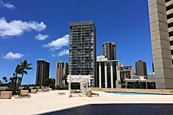 Hawaiian Monarch (PH402)