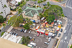 Hawaiian Monarch (PH402)