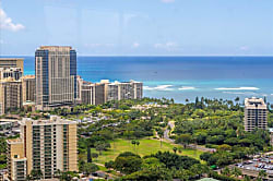 Hawaiian Monarch (PH402)