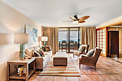 The Turquoise Turtle