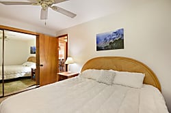 The Turquoise Turtle