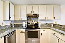 The Turquoise Turtle