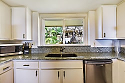 The Turquoise Turtle