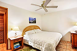 The Turquoise Turtle