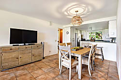 The Turquoise Turtle