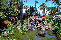 Napili Shores C121