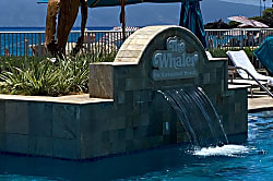 The Whaler 264