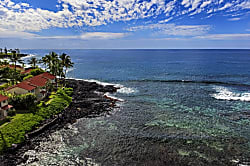 Surf and Racquet 4-203