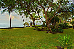 Hale Kai Estate
