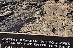 Casa Chillin - Fariway Villas