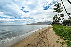 Kihei Beach 508