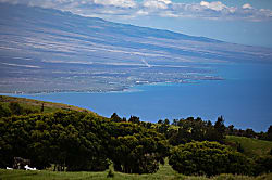 Mauna Lani Terrace A303