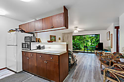 Waikomo Stream Villa 401