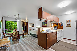 Waikomo Stream Villa 401