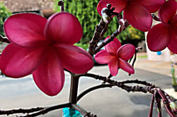 Kulakane Resort 111 The Turtle House